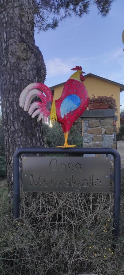 Casa Montalgallo Lucignano Dış mekan fotoğraf